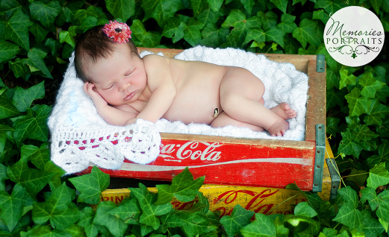 Knoxville Newborn Portraits